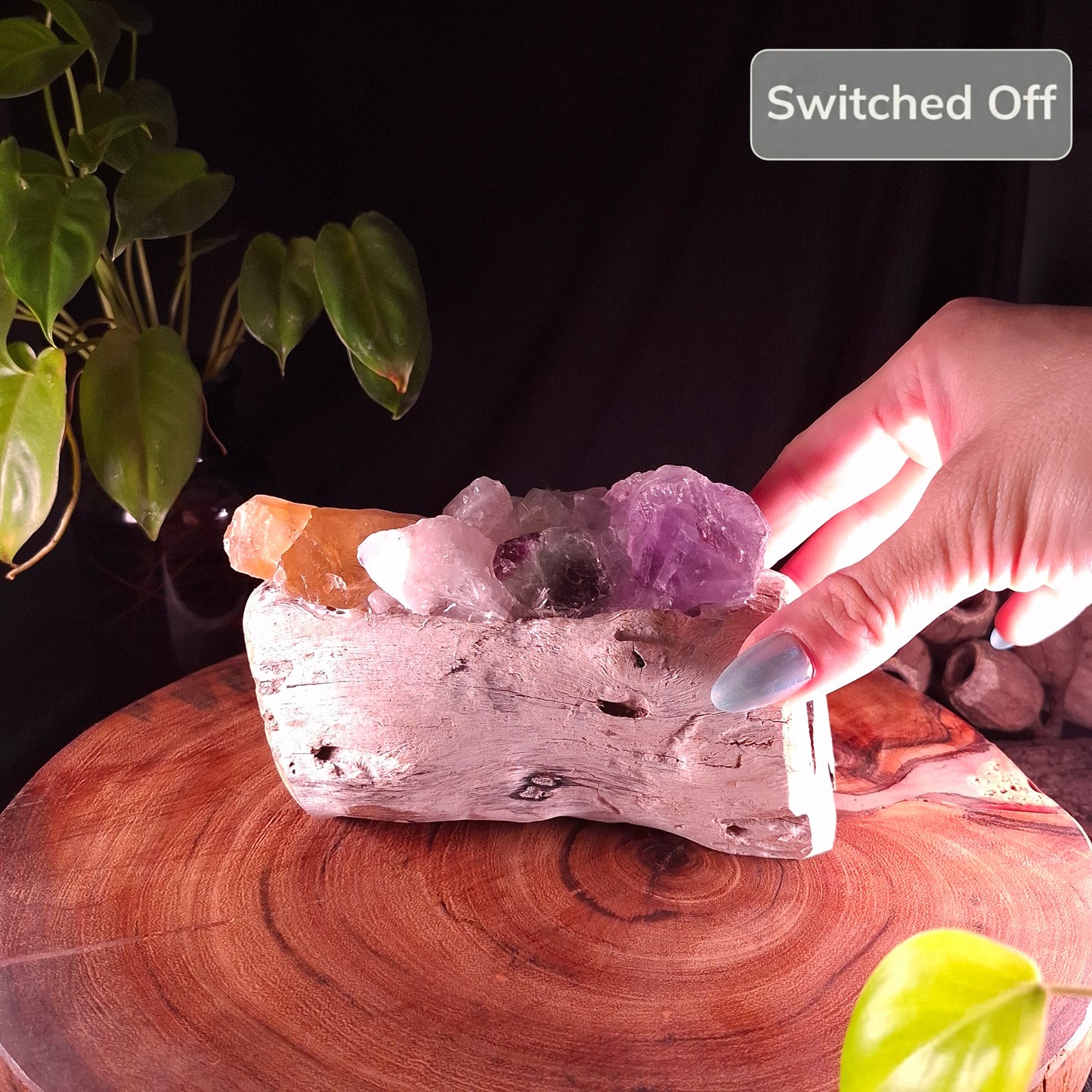 The Mindil Driftwood Rainbow Crystal Lamp