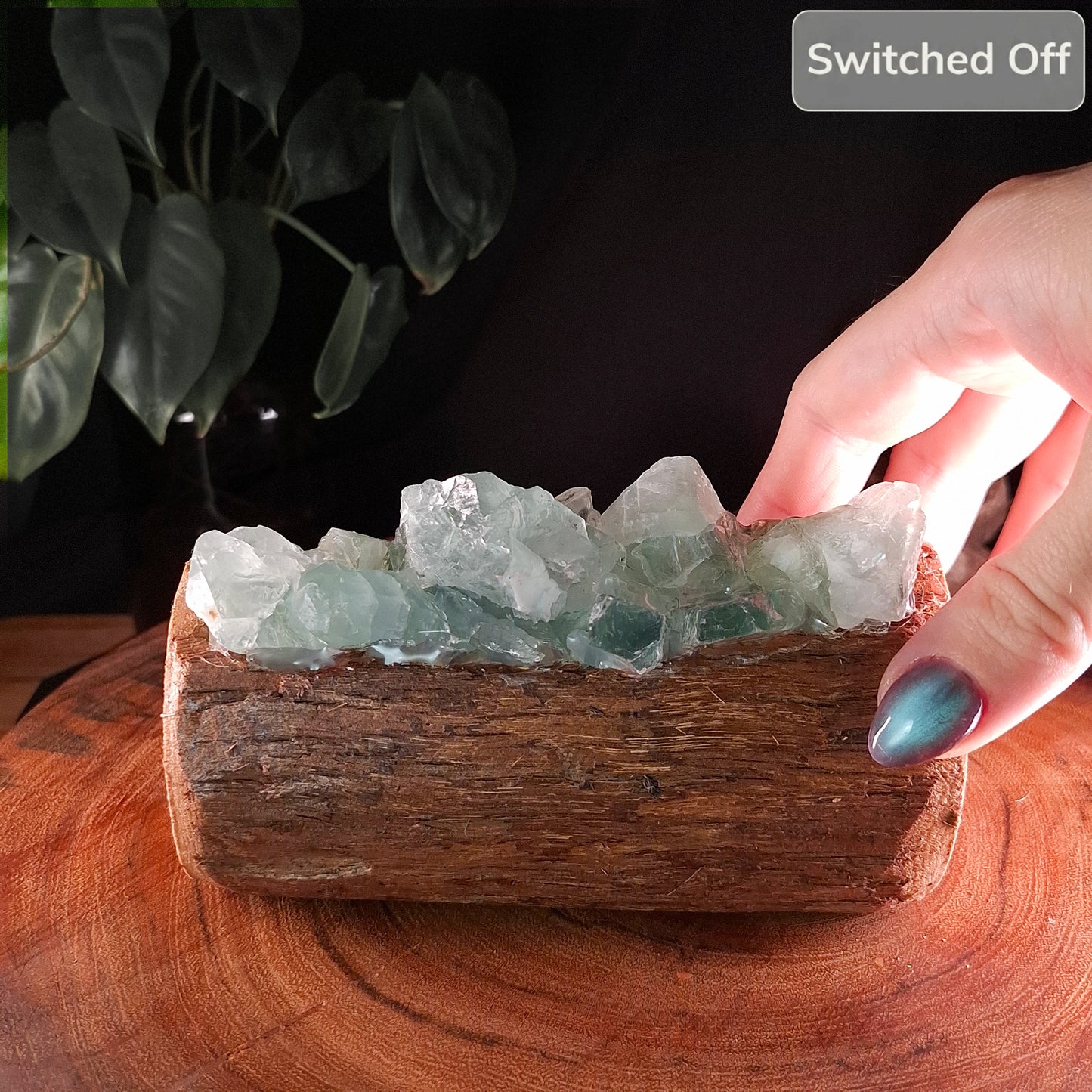 The Humpty Doo Earth & Seafoam Fluorite Lamp