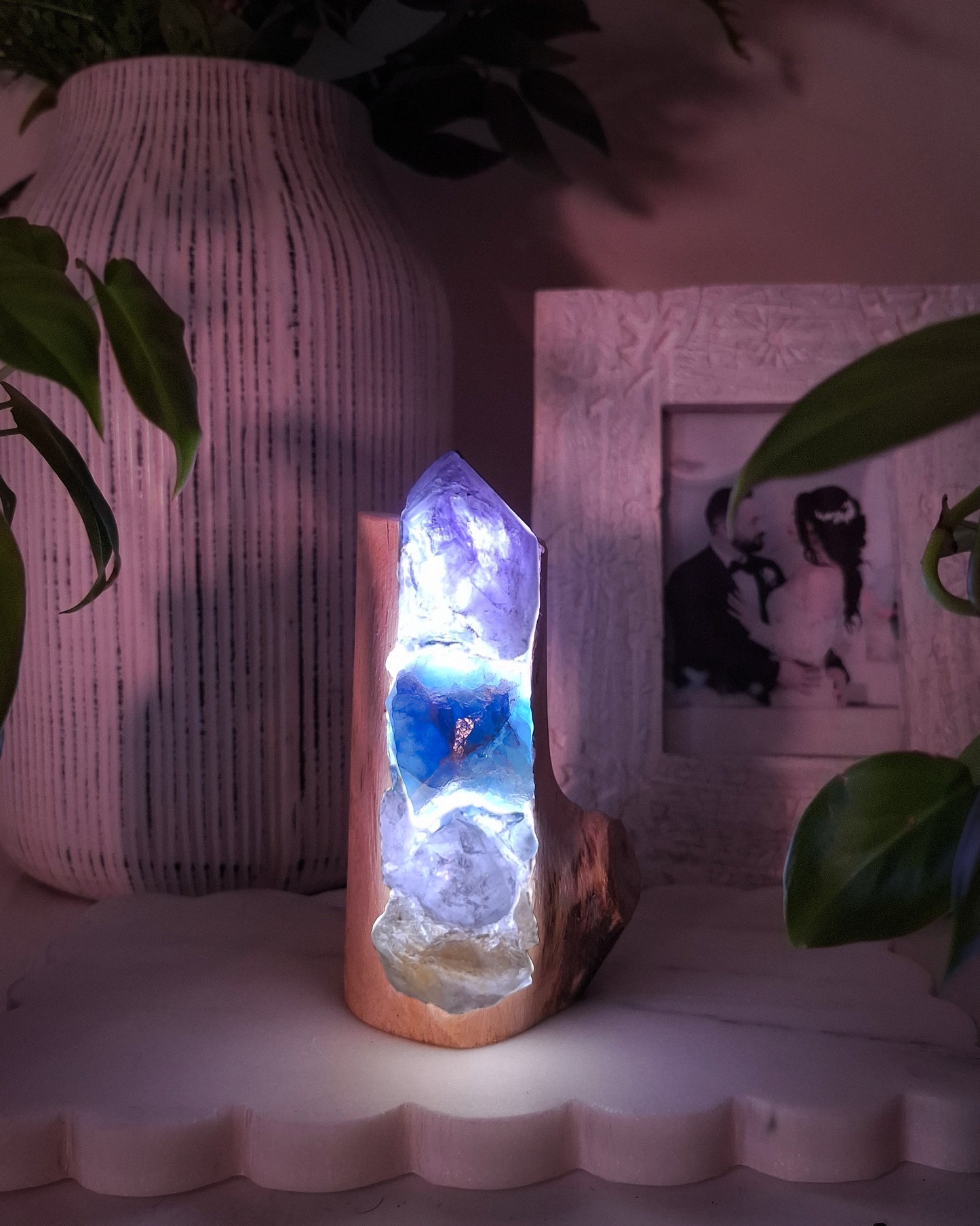 The Cyclone Fina Rainbow Branch Lamp