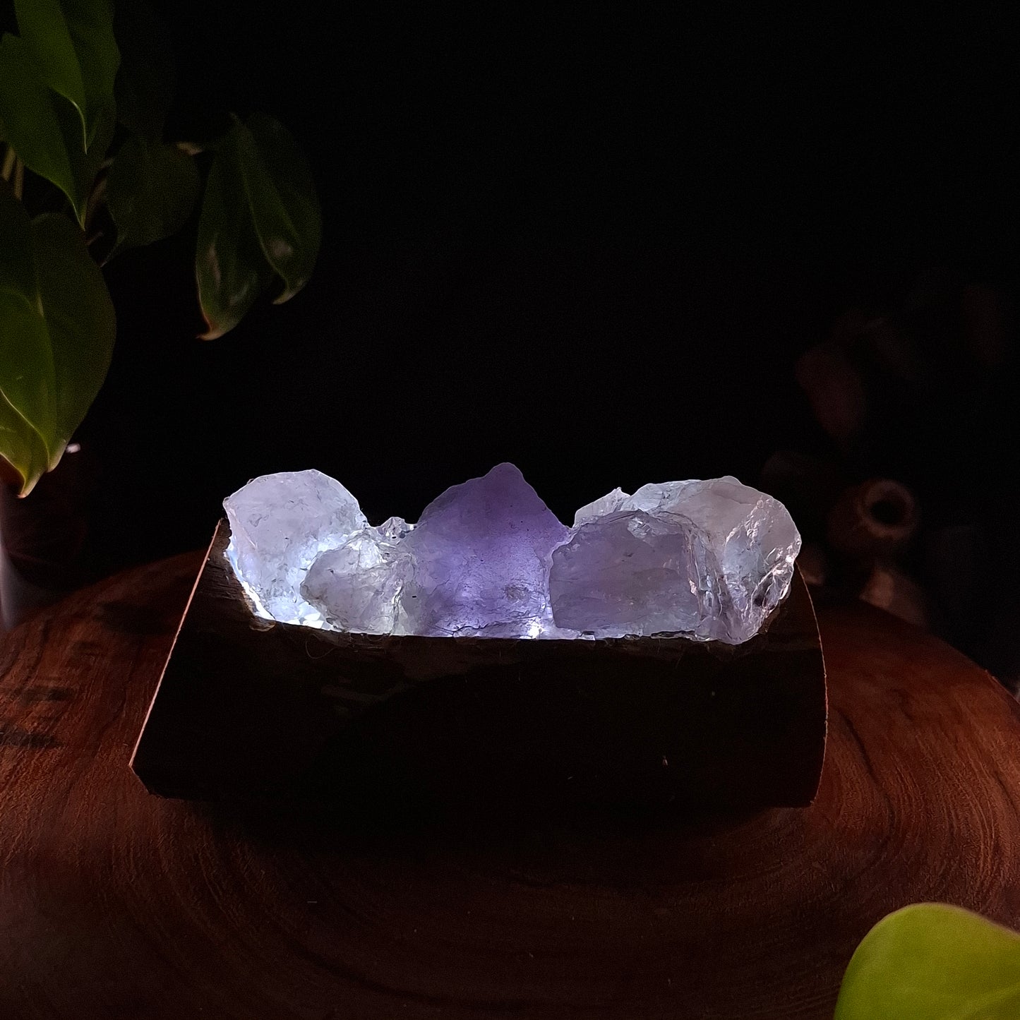 Raw Amethyst & Eucalyptus Artisan Crystal Lamp