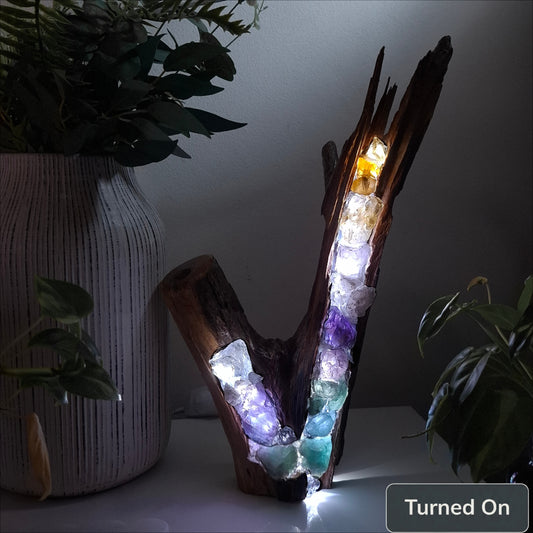 The Top End V-Branch Rainbow Lamp