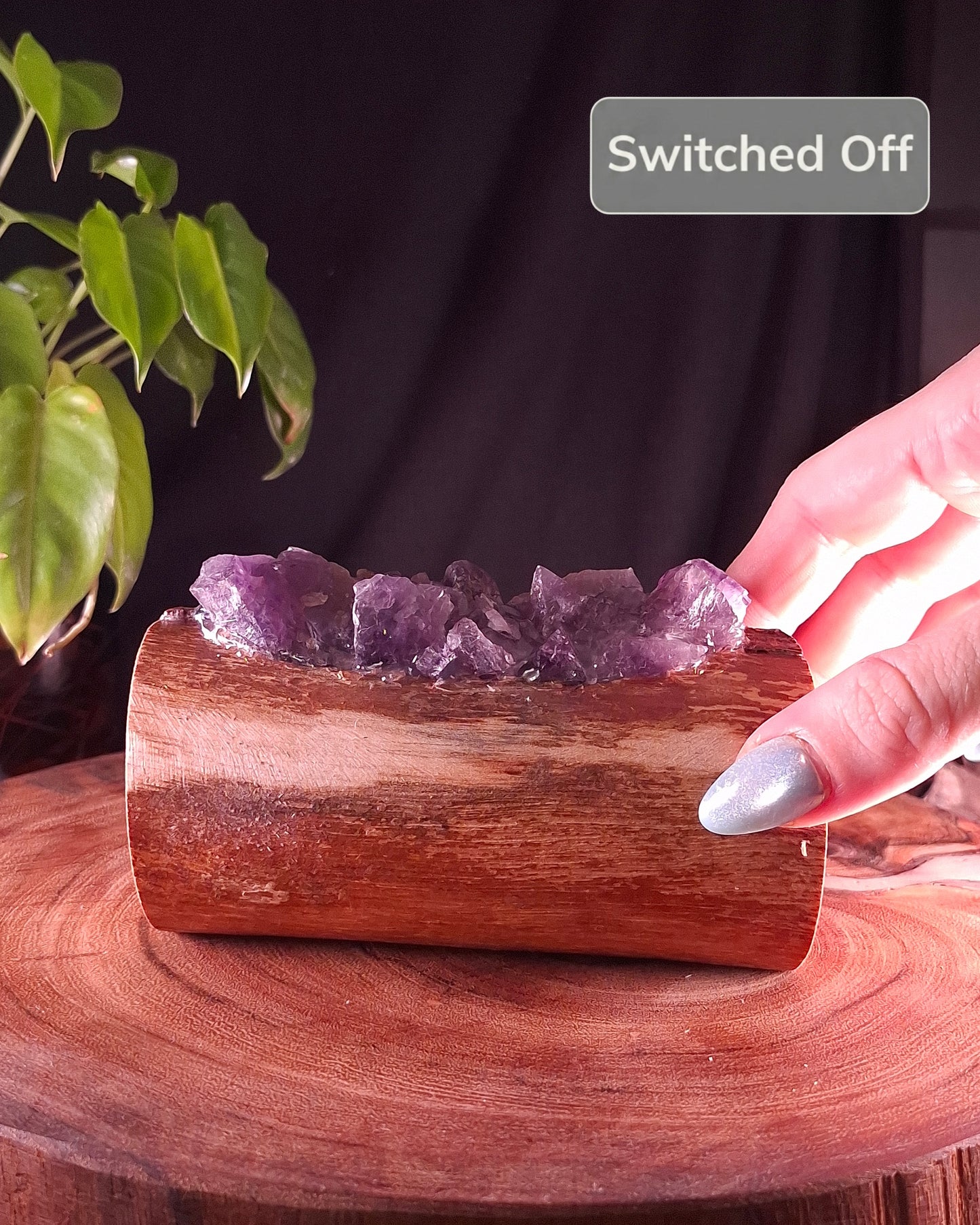 The Cyclone Fina Dark Amethyst Petit Lamp