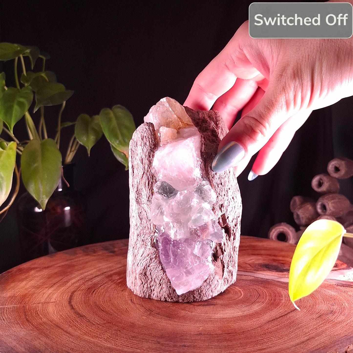 The Mindil Driftwood Rainbow Pillar Lamp