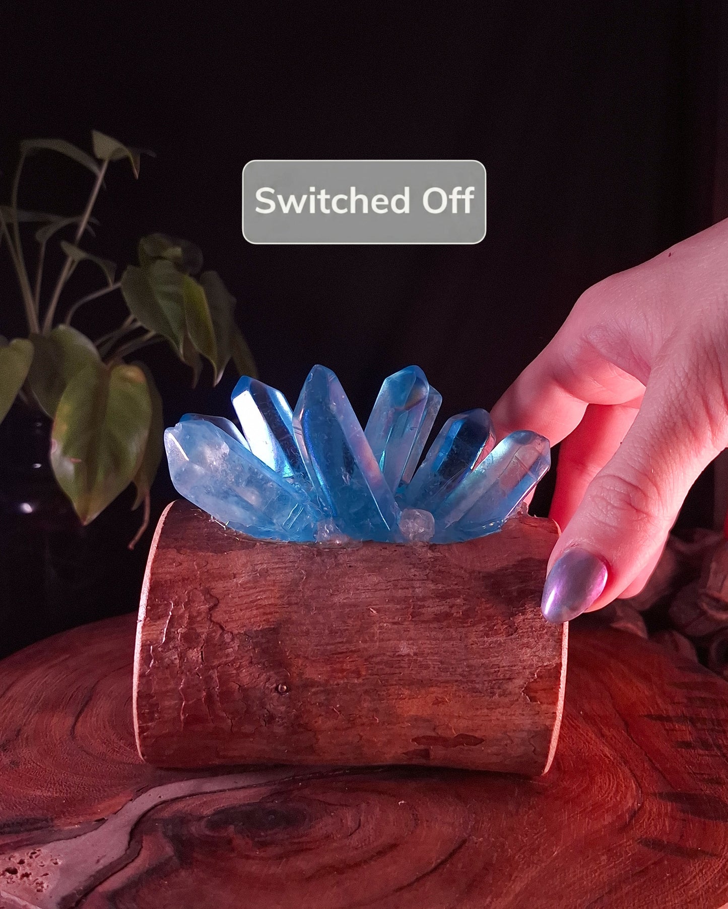 The Aqua Aura & Eucalyptus Accent Lamp