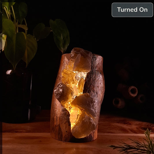 The Comforting Smoky Glow Eucalyptus Lamp