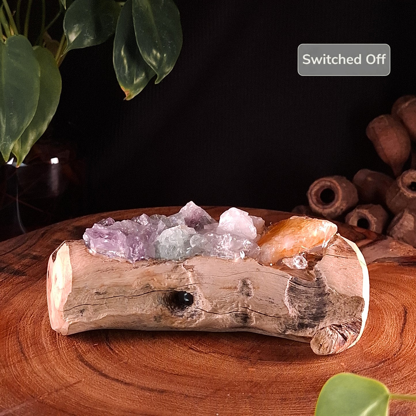 The Top End Rainbow & Mindil Driftwood Lamp