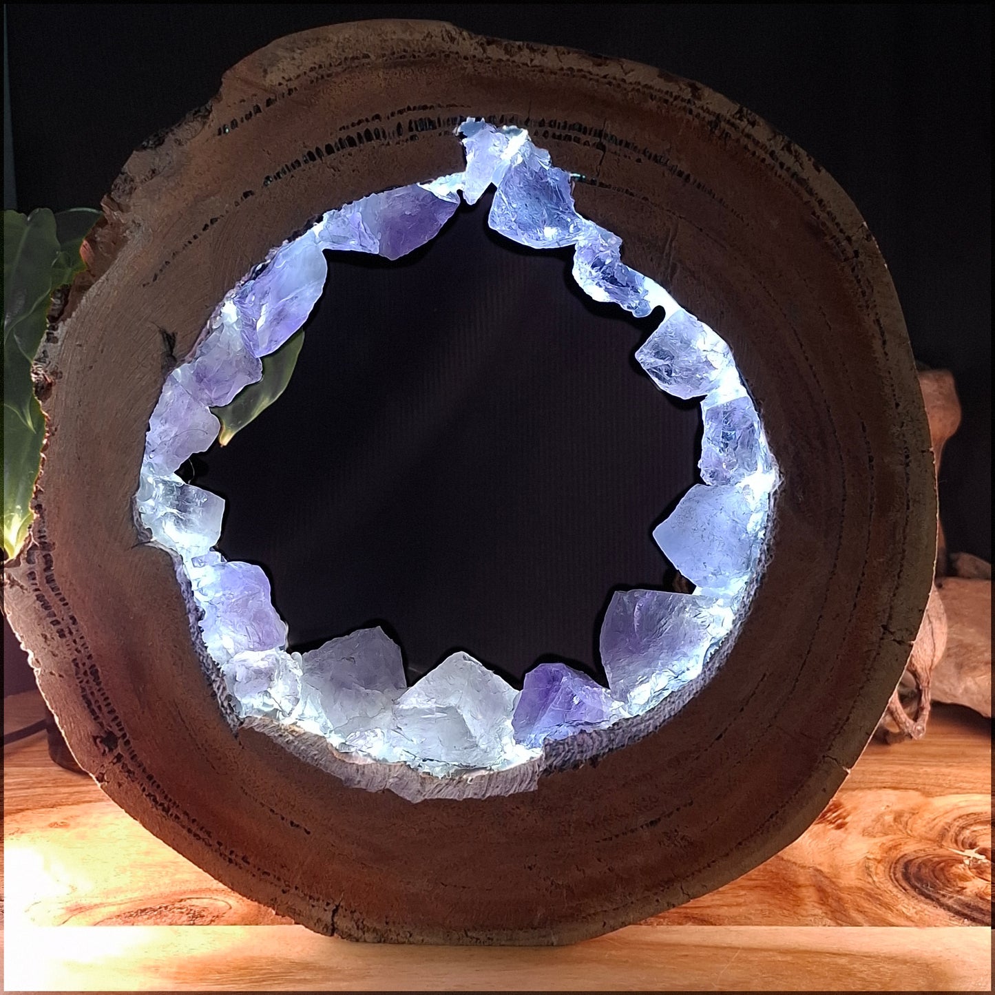 zThe Amethyst Portal Lamp – Termite-Hollowed Eucalyptus
